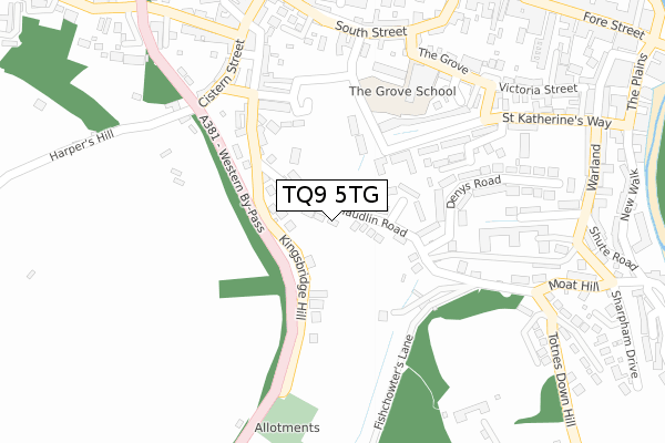 TQ9 5TG map - large scale - OS Open Zoomstack (Ordnance Survey)