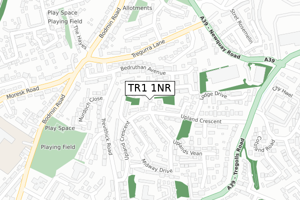 TR1 1NR map - large scale - OS Open Zoomstack (Ordnance Survey) TR1 1NR map - large scale - OS Open Zoomstack (Ordnance Survey)
