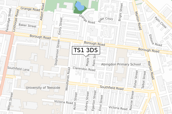 TS1 3DS map - large scale - OS Open Zoomstack (Ordnance Survey)