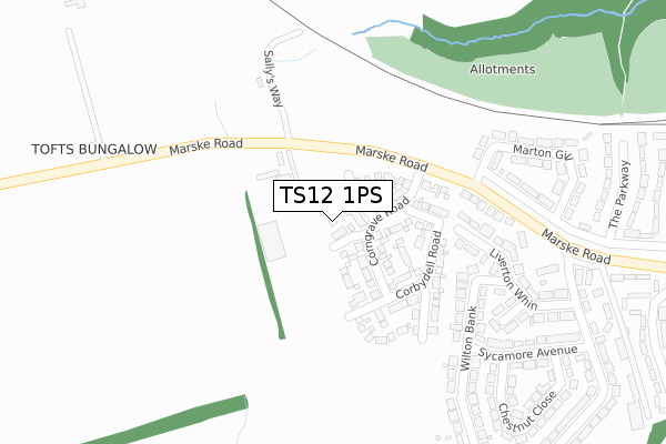 TS12 1PS map - large scale - OS Open Zoomstack (Ordnance Survey)