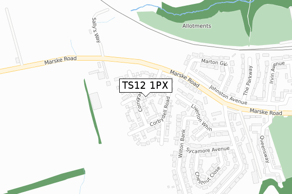 TS12 1PX map - large scale - OS Open Zoomstack (Ordnance Survey) TS12 1PX map - large scale - OS Open Zoomstack (Ordnance Survey)