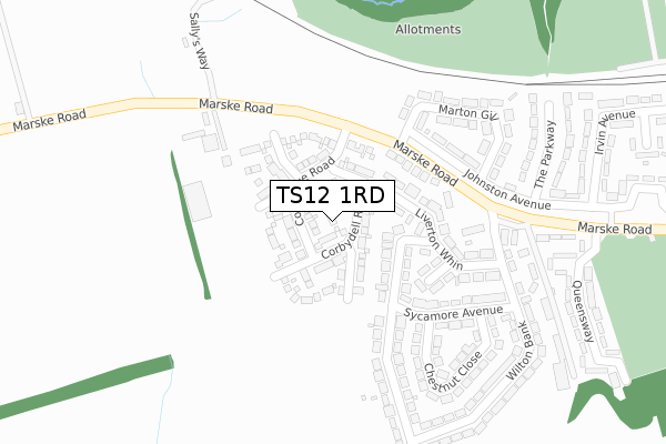 TS12 1RD map - large scale - OS Open Zoomstack (Ordnance Survey) TS12 1RD map - large scale - OS Open Zoomstack (Ordnance Survey)