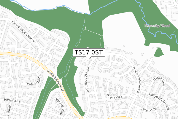 TS17 0ST map - large scale - OS Open Zoomstack (Ordnance Survey)