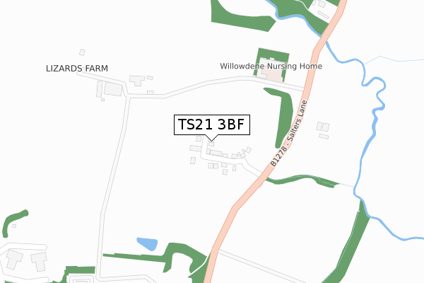 TS21 3BF map - large scale - OS Open Zoomstack (Ordnance Survey)