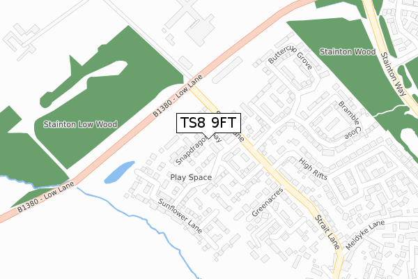 TS8 9FT map - large scale - OS Open Zoomstack (Ordnance Survey)