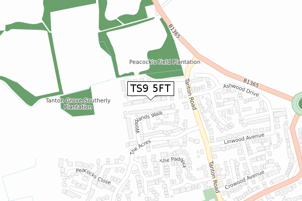 TS9 5FT map - large scale - OS Open Zoomstack (Ordnance Survey)