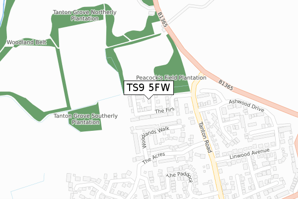 TS9 5FW map - large scale - OS Open Zoomstack (Ordnance Survey)