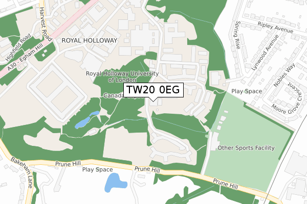 TW20 0EG map - large scale - OS Open Zoomstack (Ordnance Survey)