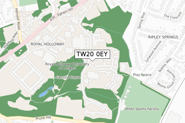 TW20 0EY map - large scale - OS Open Zoomstack (Ordnance Survey)