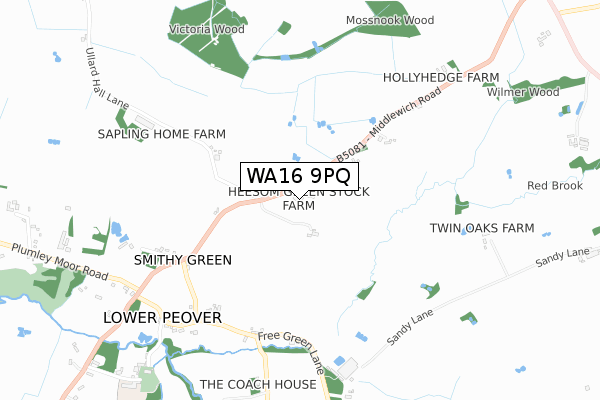 WA16 9PQ map - small scale - OS Open Zoomstack (Ordnance Survey) WA16 9PQ map - small scale - OS Open Zoomstack (Ordnance Survey)