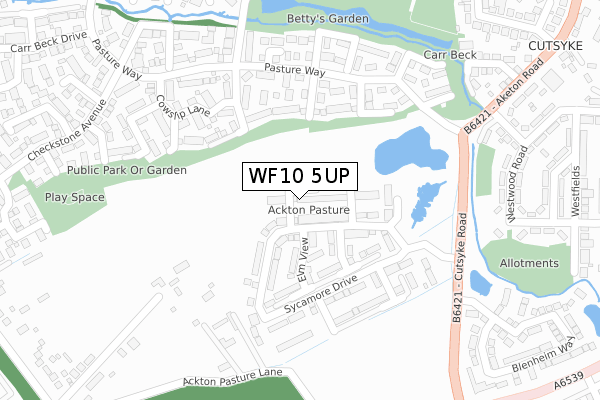 WF10 5UP map - large scale - OS Open Zoomstack (Ordnance Survey)