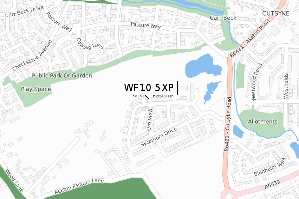 WF10 5XP map - large scale - OS Open Zoomstack (Ordnance Survey)