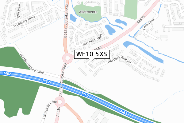 WF10 5XS map - large scale - OS Open Zoomstack (Ordnance Survey)
