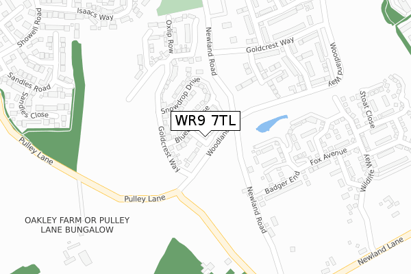 WR9 7TL map - large scale - OS Open Zoomstack (Ordnance Survey) WR9 7TL map - large scale - OS Open Zoomstack (Ordnance Survey)