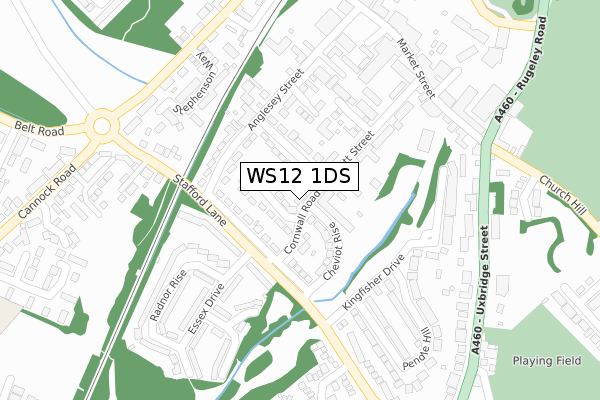 WS12 1DS map - large scale - OS Open Zoomstack (Ordnance Survey) WS12 1DS map - large scale - OS Open Zoomstack (Ordnance Survey)