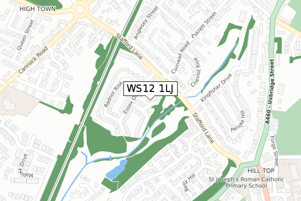 WS12 1LJ map - large scale - OS Open Zoomstack (Ordnance Survey)