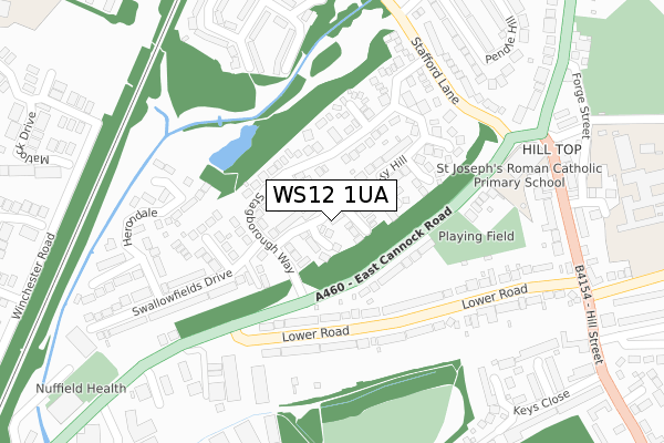 WS12 1UA map - large scale - OS Open Zoomstack (Ordnance Survey)
