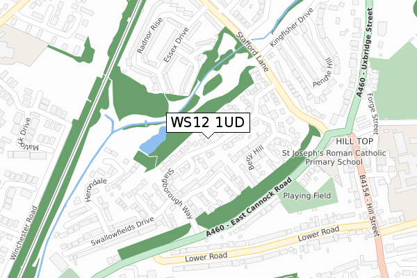 WS12 1UD map - large scale - OS Open Zoomstack (Ordnance Survey)