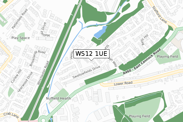 WS12 1UE map - large scale - OS Open Zoomstack (Ordnance Survey)