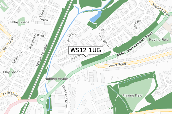 WS12 1UG map - large scale - OS Open Zoomstack (Ordnance Survey)