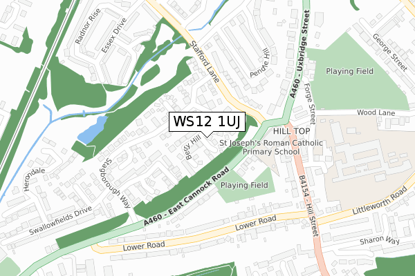 WS12 1UJ map - large scale - OS Open Zoomstack (Ordnance Survey)