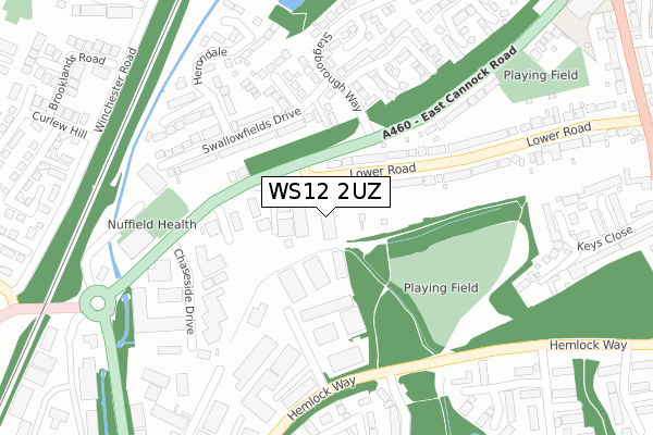 WS12 2UZ map - large scale - OS Open Zoomstack (Ordnance Survey)