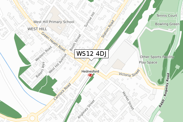 WS12 4DJ map - large scale - OS Open Zoomstack (Ordnance Survey)