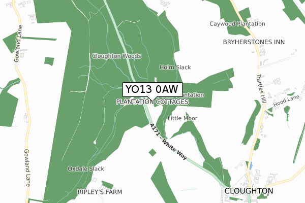 YO13 0AW map - small scale - OS Open Zoomstack (Ordnance Survey) YO13 0AW map - small scale - OS Open Zoomstack (Ordnance Survey)