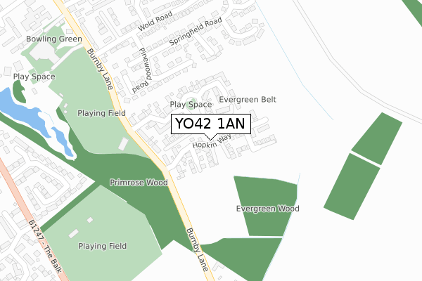 YO42 1AN map - large scale - OS Open Zoomstack (Ordnance Survey)